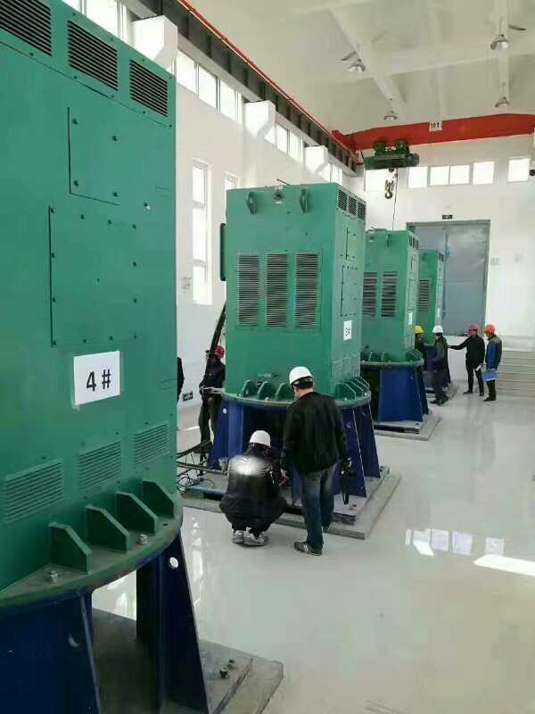 海晏某污水处理厂使用我厂的立式高压电机安装现场