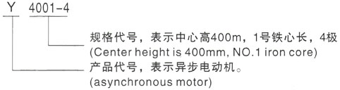 西安泰富西玛Y系列(H355-1000)高压海晏三相异步电机型号说明